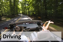 Two people in a convertable driving on a tree lined street