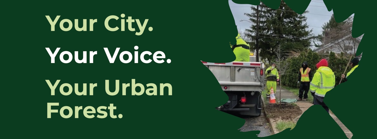 Don’t Leaf Us Hanging, Share Your Thoughts on Our Trees!