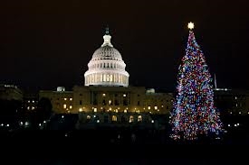 Capitol Christmas Tree Coming to Allentown