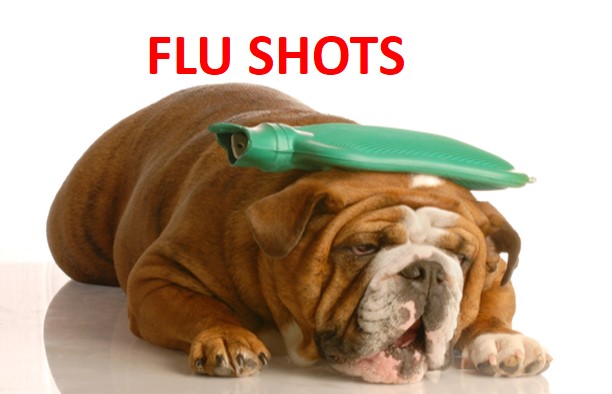 Allentown Health Bureau Offers Flu Vaccine