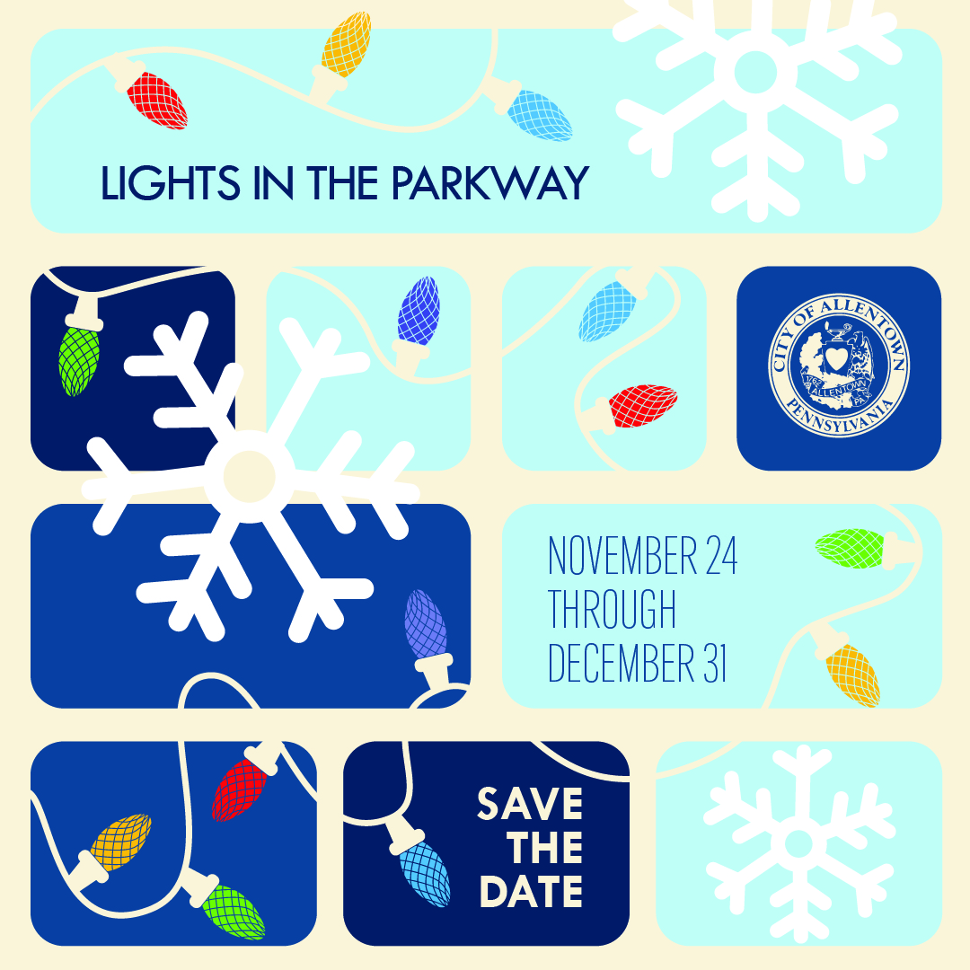 Lights in the Parkway flyer